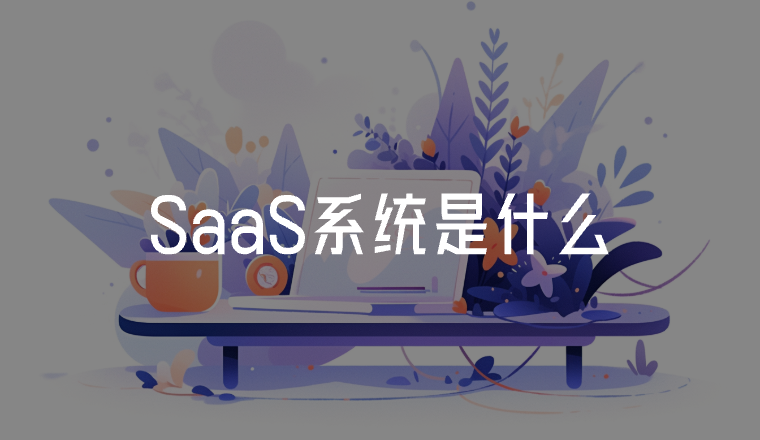 SaaS系統(tǒng)是什么