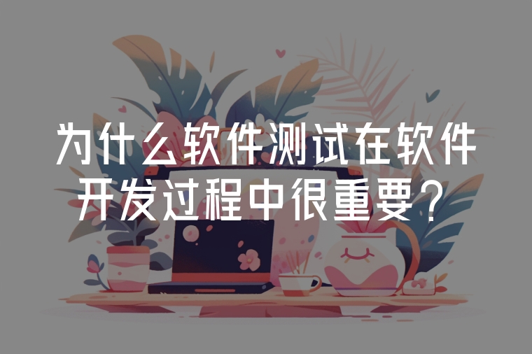 為什么軟件測(cè)試在軟件開發(fā)過程中很重要？