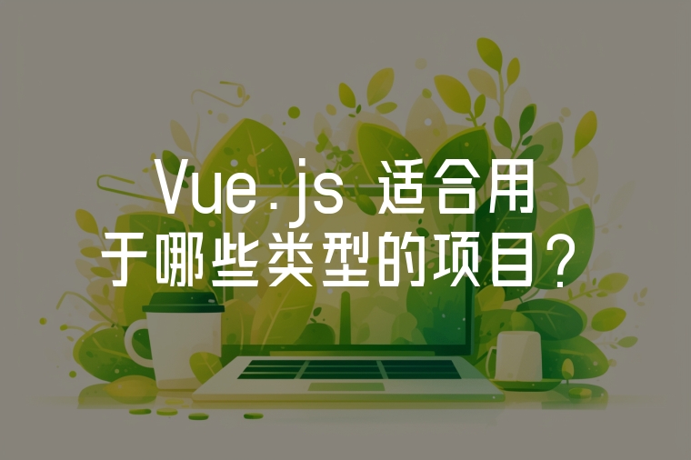 Vue.js 適合用于哪些類型的項目？