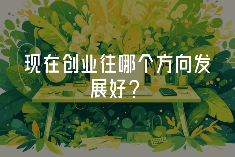 現(xiàn)在創(chuàng)業(yè)往哪個方向發(fā)展好？