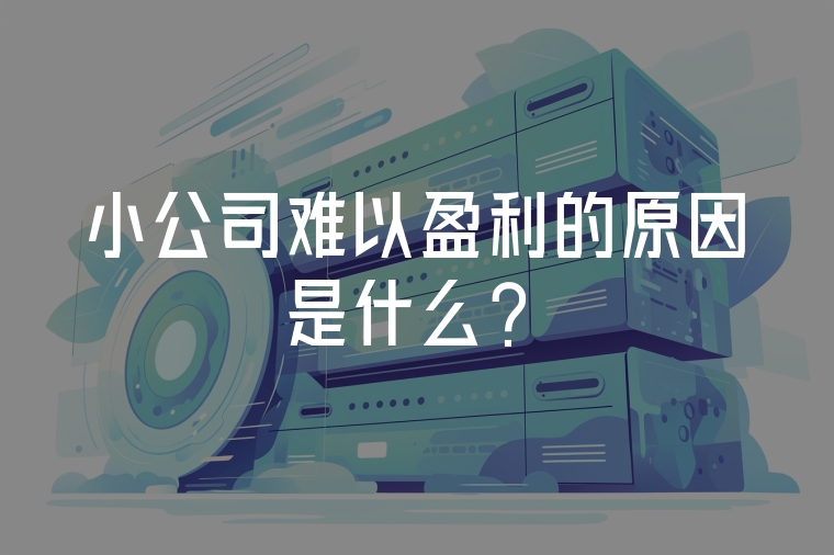 小公司難以盈利的原因是什么？