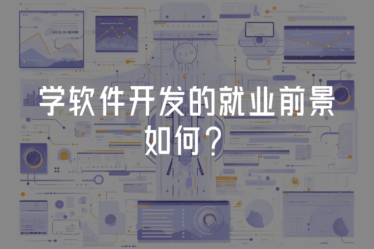 學(xué)軟件開發(fā)的就業(yè)前景如何？