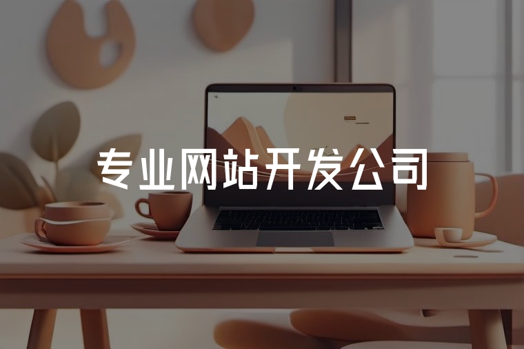 選擇火貓網(wǎng)絡(luò)，打造專業(yè)網(wǎng)站