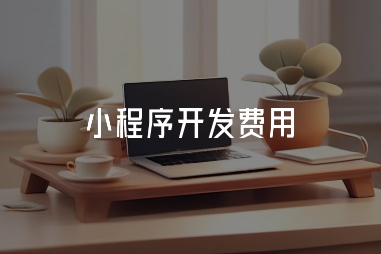 小程序開發(fā)費用：成本與優(yōu)化全解析
