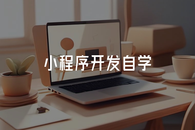 小程序開(kāi)發(fā)自學(xué)全攻略