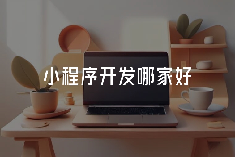 小程序開發(fā)哪家好？選火貓就對了